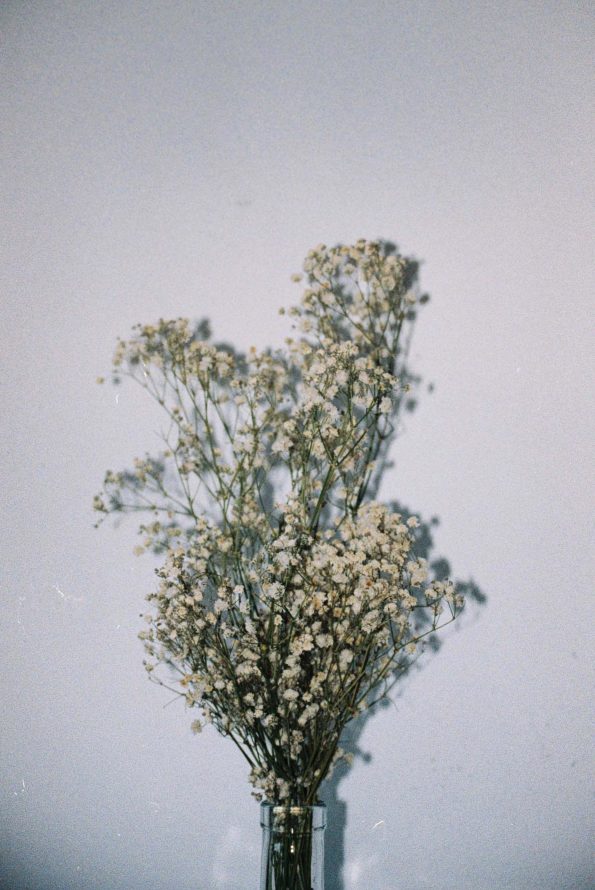 The Future Is Analog. Fotografía analógica e híbrida Mai Ibargüen. Flores