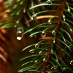 Diario Visual de la fotógrafa Mai Ibargüen. Fotografía lifestyle, recuerdos únicos, fotografía de momentos. Lifestyle. Rodaje. Detalle. Gota de Agua