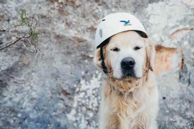 Diario Visual de la fotógrafa Mai Ibargüen. Fotografía lifestyle, recuerdos únicos, fotografía de momentos. Millmess. Perro Golden. Salewa. Escalar