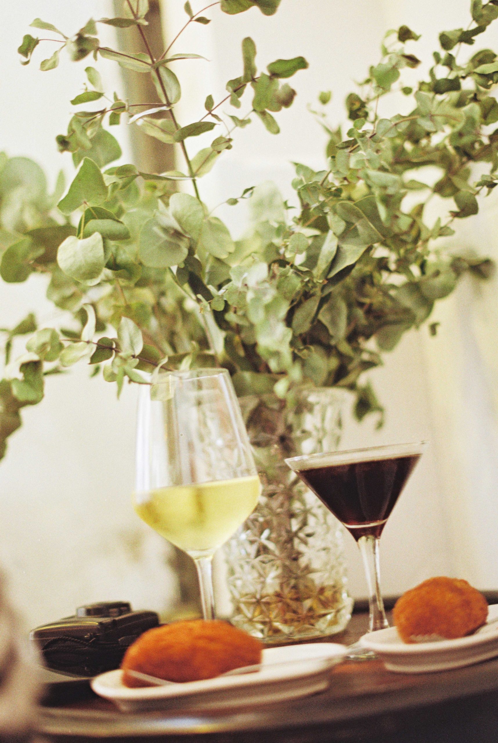 Fotografía Analógica The Future is Analog Mai Ibargüen Vermú Eucalipto