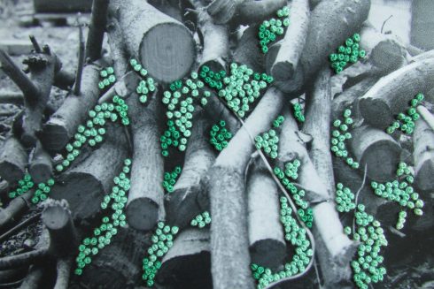 Fotobordado_BlogMaiIbargüen_Fotografía_Imagen_Bordado_11