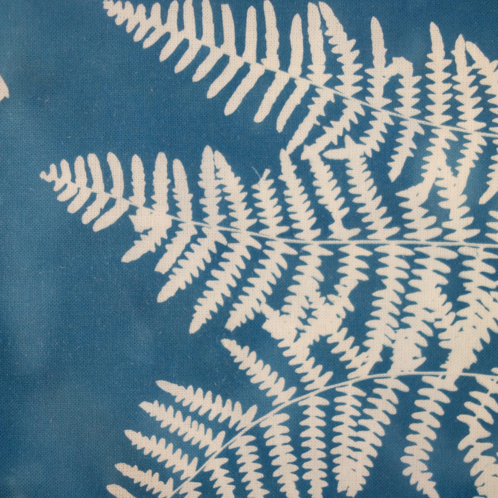 Cianotipia_MaiIbargüen_Atrapaluz