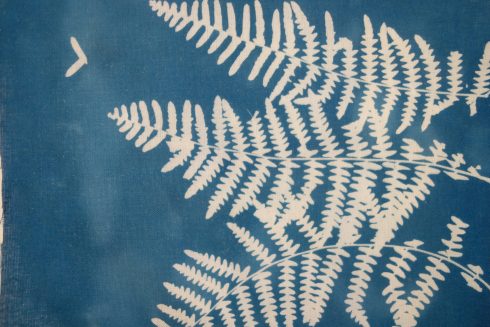 Cianotipia_MaiIbargüen_Atrapaluz