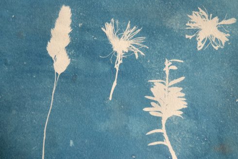 Cianotipia_TallerdeFotografíaZaragoza