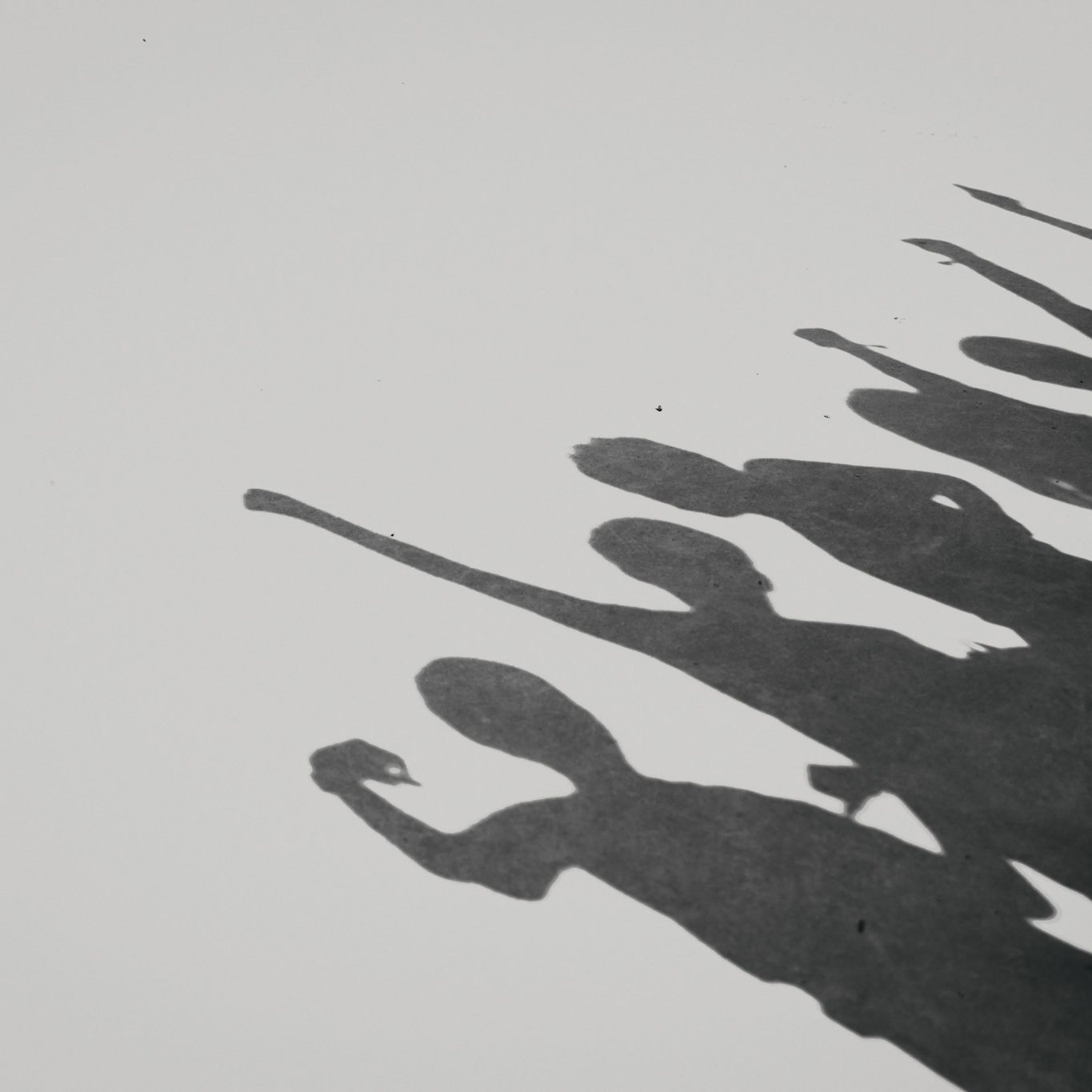 Juego_Atrapaluz_MaiIbargüen_Zaragoza_FotoFusión