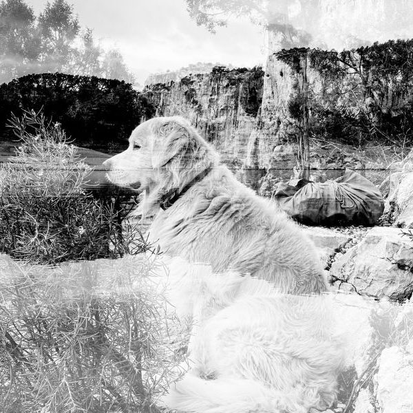 BLOG Atrapaluz MaiIbargüen Doble Exposición POLAROID BLOG Atrapaluz MaiIbargüen Doble Exposición POLAROID Fotografía Zaragoza