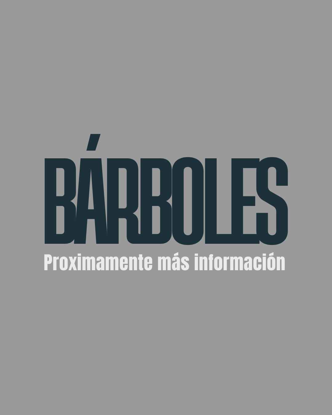 PróximoTaller_Fotografia_Experimentar_MaiIbargüen_Atrapaluz_Bárboles